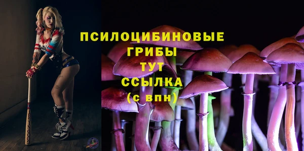 хмурый Абинск