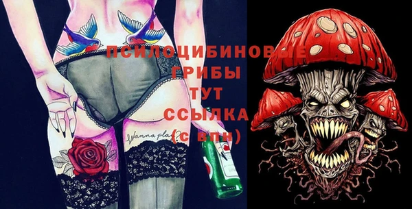 гашик Алексеевка