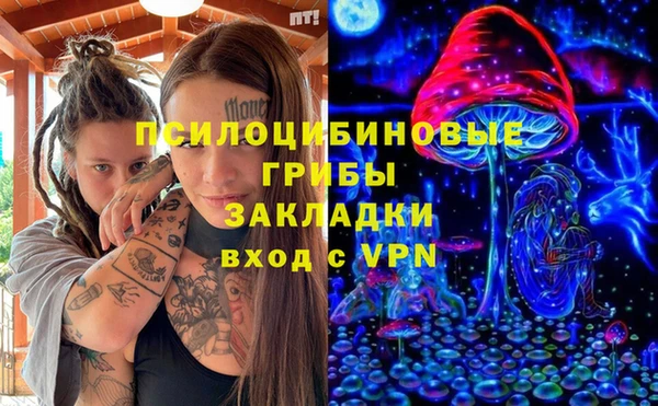 трава Абаза