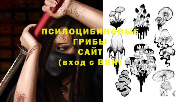хмурый Абинск