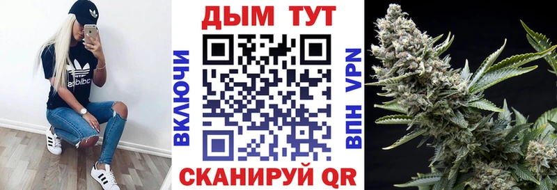 Бошки Шишки Amnesia  Шумерля 